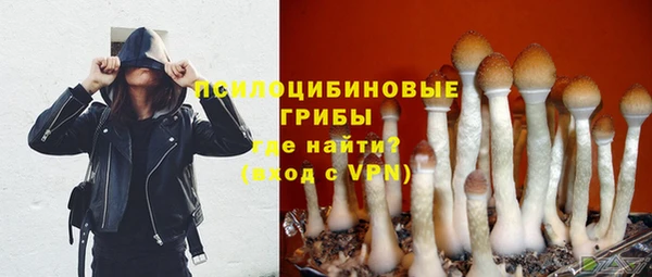 дмт Бронницы