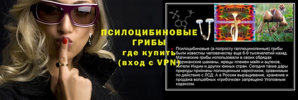 дмт Бронницы