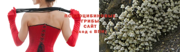 мяу мяу мука Бородино