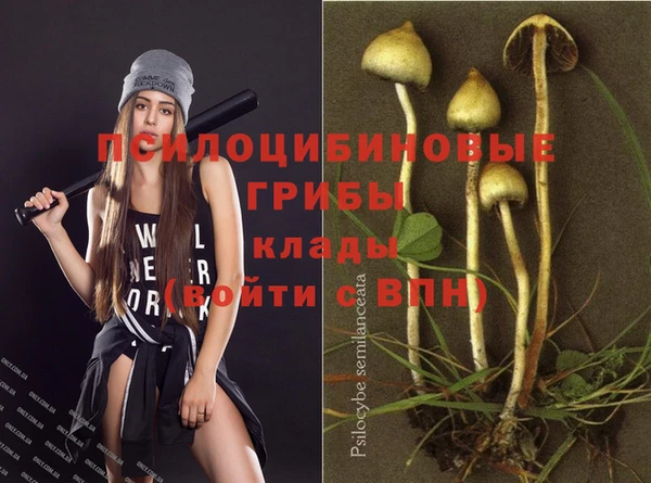 ПСИЛОЦИБИНОВЫЕ ГРИБЫ Бугульма
