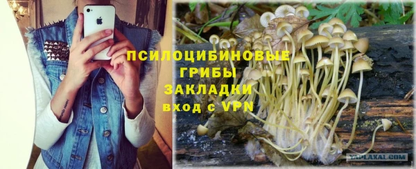 дмт Бронницы