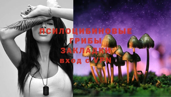 мяу мяу мука Бородино