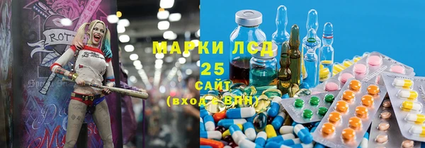 мяу мяу мука Бородино