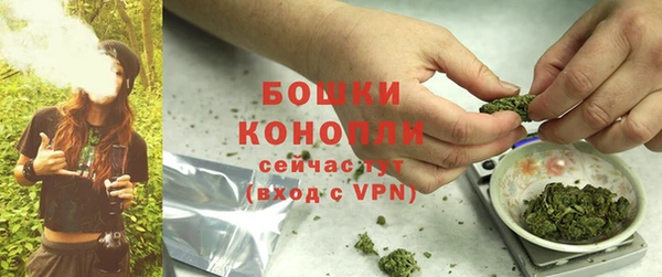 ПСИЛОЦИБИНОВЫЕ ГРИБЫ Бугульма
