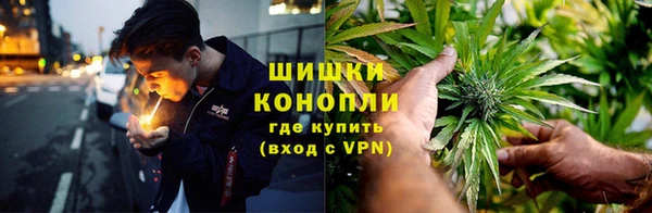 ПСИЛОЦИБИНОВЫЕ ГРИБЫ Бугульма